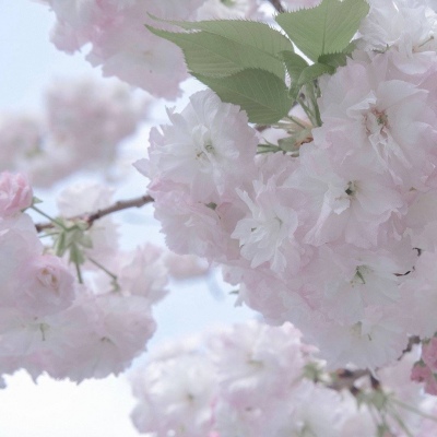 Furry写实风格绘画技巧兽圈社群